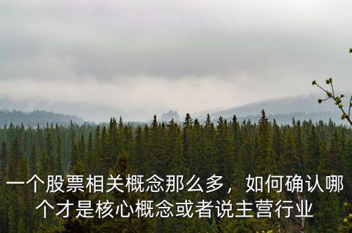 一個股票相關(guān)概念那么多，如何確認(rèn)哪個才是核心概念或者說主營行業(yè)