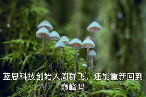 藍(lán)思科技創(chuàng)始人周群飛，還能重新回到巔峰嗎