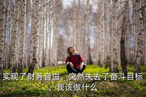實現(xiàn)了財務(wù)自由，突然失去了奮斗目標(biāo)，我該做什么