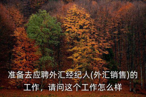 準(zhǔn)備去應(yīng)聘外匯經(jīng)紀(jì)人(外匯銷售)的工作，請(qǐng)問這個(gè)工作怎么樣