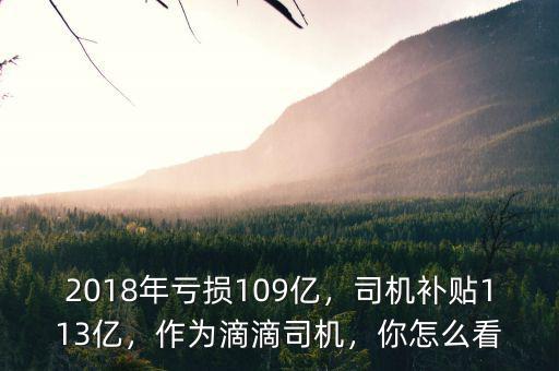 2018年虧損109億，司機(jī)補(bǔ)貼113億，作為滴滴司機(jī)，你怎么看