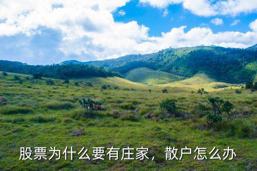 股票為什么要有莊家，散戶(hù)怎么辦