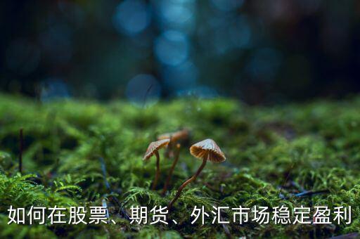 如何在股票、期貨、外匯市場穩(wěn)定盈利
