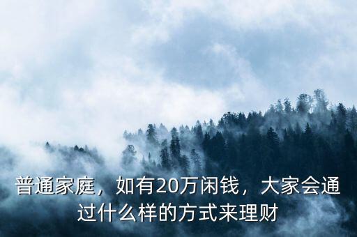 普通家庭，如有20萬(wàn)閑錢(qián)，大家會(huì)通過(guò)什么樣的方式來(lái)理財(cái)