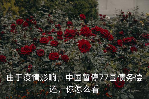 由于疫情影響，中國暫停77國債務(wù)償還，你怎么看