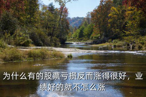 為什么有的股票虧損反而漲得很好，業(yè)績(jī)好的就不怎么漲