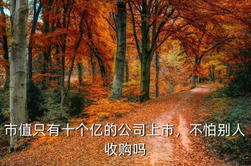 市值只有十個(gè)億的公司上市，不怕別人收購(gòu)嗎