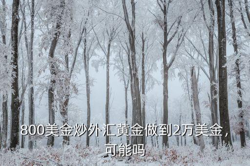 800美金炒外匯黃金做到2萬美金，可能嗎