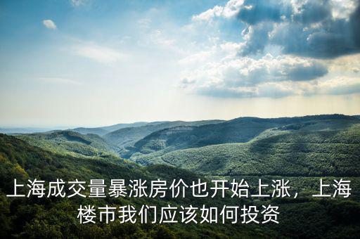 上海成交量暴漲房價也開始上漲，上海樓市我們應該如何投資