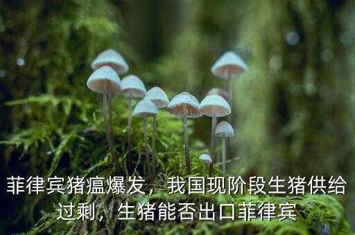 菲律賓豬瘟爆發(fā)，我國(guó)現(xiàn)階段生豬供給過(guò)剩，生豬能否出口菲律賓