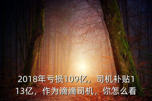 2018年虧損109億，司機(jī)補(bǔ)貼113億，作為滴滴司機(jī)，你怎么看