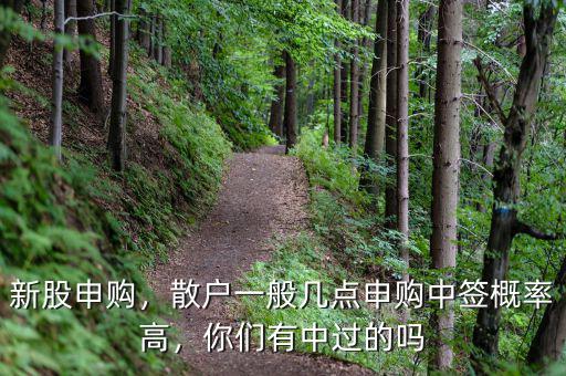 新股申購，散戶一般幾點申購中簽概率高，你們有中過的嗎