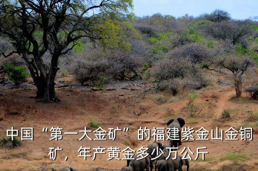 中國(guó)“第一大金礦”的福建紫金山金銅礦，年產(chǎn)黃金多少萬(wàn)公斤
