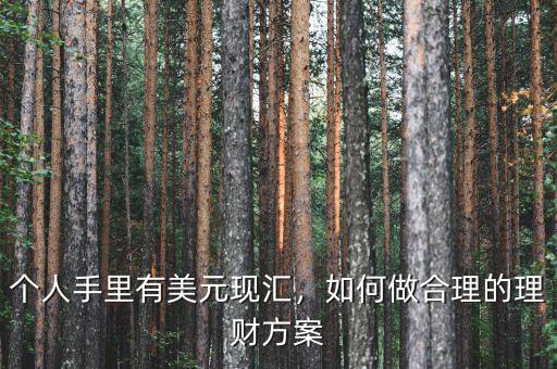 個人手里有美元現匯，如何做合理的理財方案