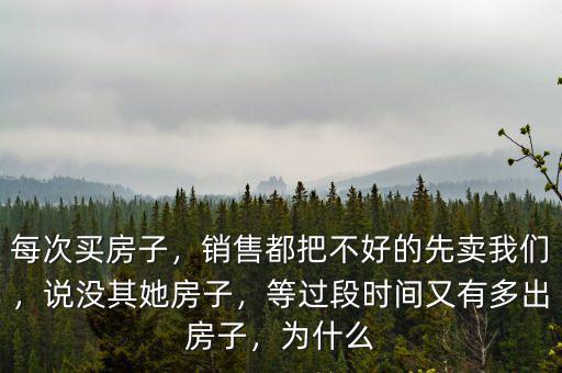 每次買(mǎi)房子，銷(xiāo)售都把不好的先賣(mài)我們，說(shuō)沒(méi)其她房子，等過(guò)段時(shí)間又有多出房子，為什么