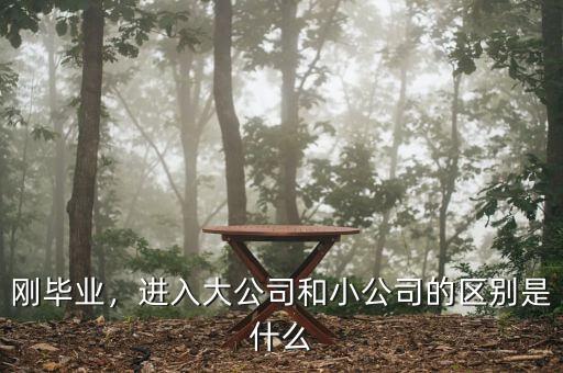 剛畢業(yè)，進入大公司和小公司的區(qū)別是什么