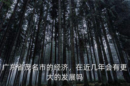 廣東省茂名市的經(jīng)濟(jì)，在近幾年會有更大的發(fā)展嗎