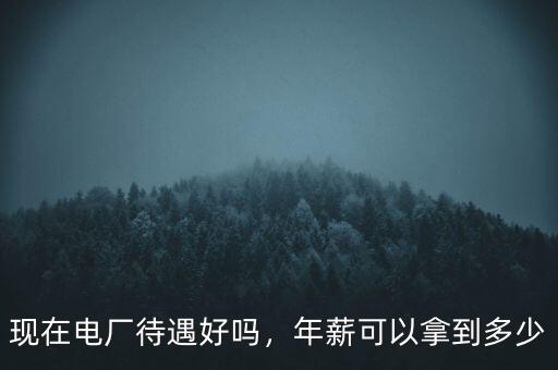 現(xiàn)在電廠待遇好嗎，年薪可以拿到多少
