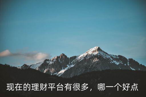 現(xiàn)在的理財(cái)平臺(tái)有很多，哪一個(gè)好點(diǎn)