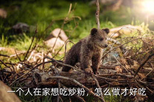 一個人在家想吃炒粉，怎么做才好吃