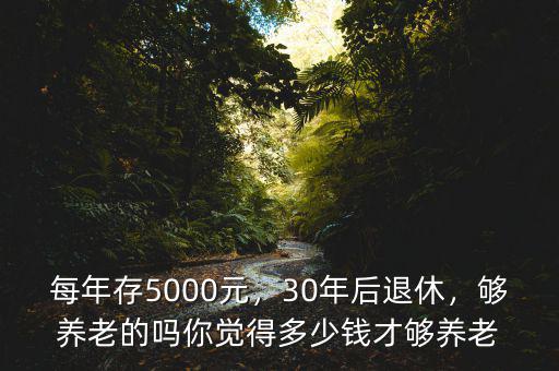 每年存5000元，30年后退休，夠養(yǎng)老的嗎你覺得多少錢才夠養(yǎng)老
