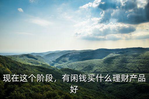 現(xiàn)在這個(gè)階段，有閑錢買什么理財(cái)產(chǎn)品好