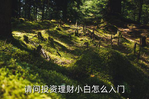 一通寶投資理財(cái)怎么操作的,請(qǐng)問(wèn)投資理財(cái)小白怎么入門