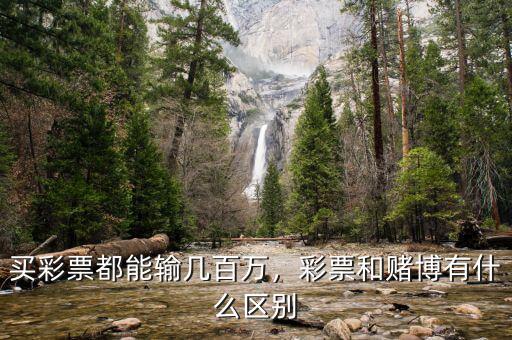買彩票都能輸幾百萬，彩票和賭博有什么區(qū)別