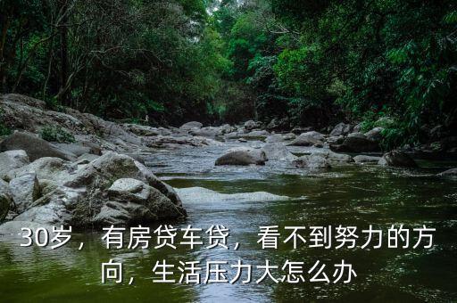 30歲，有房貸車貸，看不到努力的方向，生活壓力大怎么辦