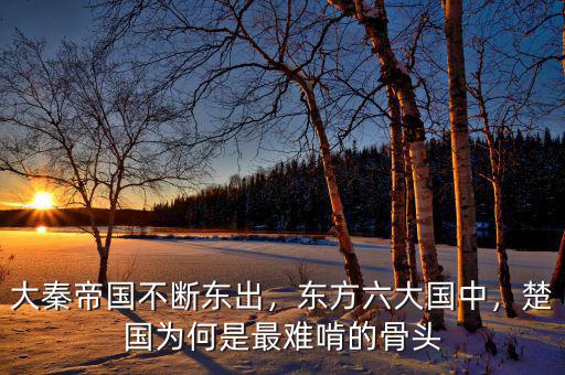大秦帝國(guó)不斷東出，東方六大國(guó)中，楚國(guó)為何是最難啃的骨頭
