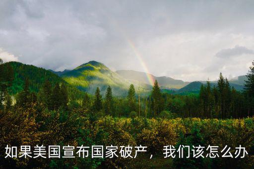 如果美國宣布國家破產(chǎn)，我們?cè)撛趺崔k