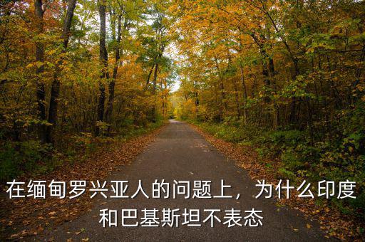 在緬甸羅興亞人的問題上，為什么印度和巴基斯坦不表態(tài)