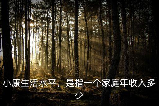 小康生活水平，是指一個家庭年收入多少