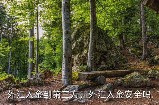 外匯入金到第三方，外匯入金安全嗎