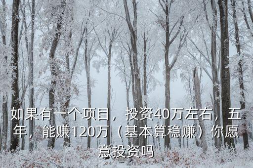 如果有一個(gè)項(xiàng)目，投資40萬(wàn)左右，五年，能賺120萬(wàn)（基本算穩(wěn)賺）你愿意投資嗎