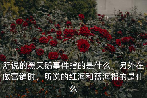 所說的黑天鵝事件指的是什么，另外在做營(yíng)銷時(shí)，所說的紅海和藍(lán)海指的是什么