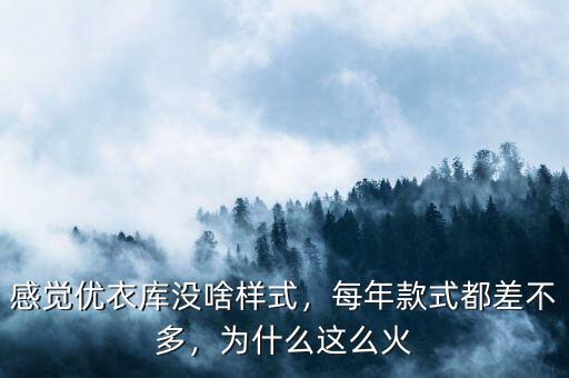 感覺優(yōu)衣庫沒啥樣式，每年款式都差不多，為什么這么火