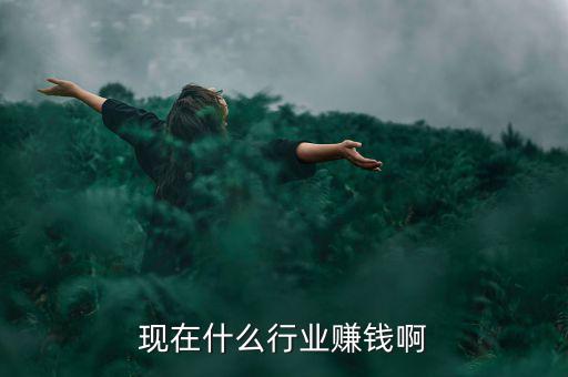 中國(guó)現(xiàn)在沒(méi)什么賺錢(qián)的,是什么原因引起的