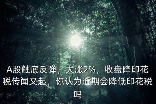A股觸底反彈，大漲2%，收盤(pán)降印花稅傳聞?dòng)制?，你認(rèn)為近期會(huì)降低印花稅嗎