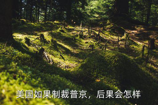 美國如果制裁普京，后果會怎樣