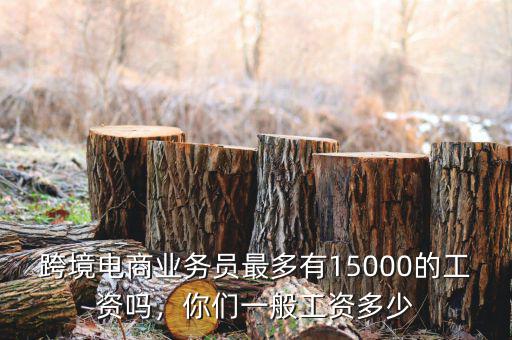 跨境電商業(yè)務(wù)員最多有15000的工資嗎，你們一般工資多少