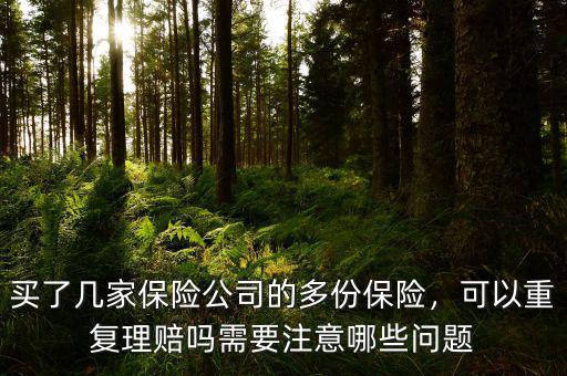 買了幾家保險(xiǎn)公司的多份保險(xiǎn)，可以重復(fù)理賠嗎需要注意哪些問題