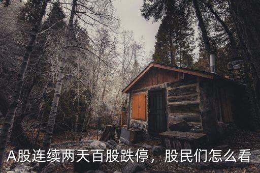 A股連續(xù)兩天百股跌停，股民們怎么看
