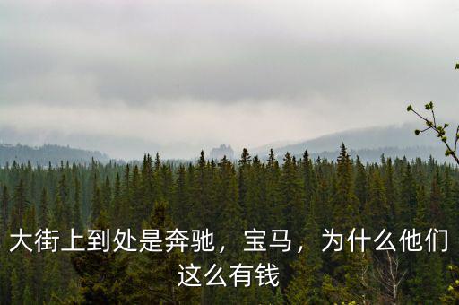 大街上到處是奔馳，寶馬，為什么他們這么有錢(qián)