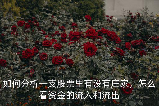 如何分析一支股票里有沒(méi)有莊家，怎么看資金的流入和流出