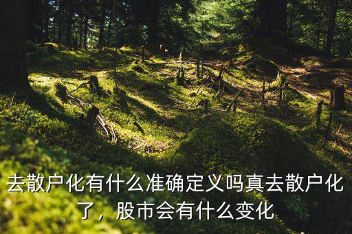 去散戶化有什么準(zhǔn)確定義嗎真去散戶化了，股市會有什么變化