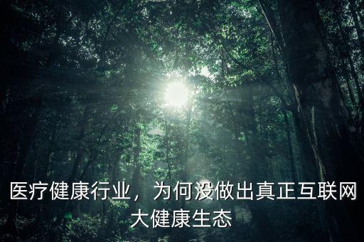 醫(yī)療健康行業(yè)，為何沒做出真正互聯(lián)網(wǎng)大健康生態(tài)