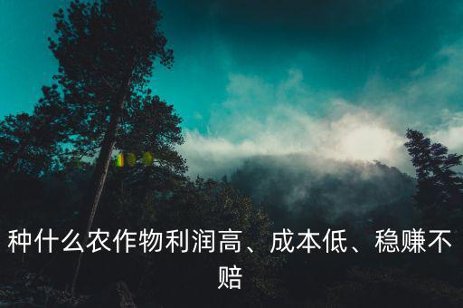 種什么農(nóng)作物利潤高、成本低、穩(wěn)賺不賠