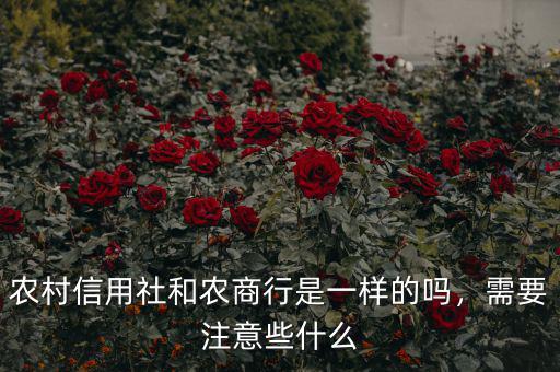 農(nóng)村信用社和農(nóng)商行是一樣的嗎，需要注意些什么