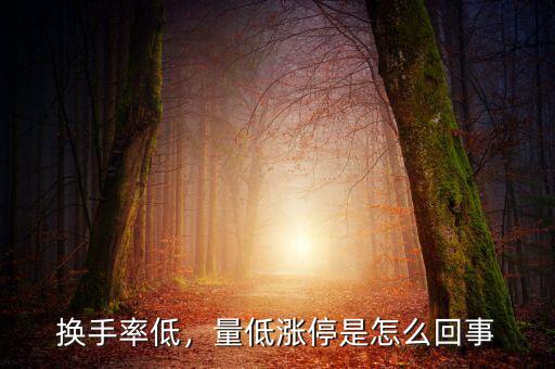 換手率低，量低漲停是怎么回事